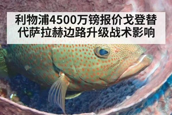 利物浦4500万镑报价戈登替代萨拉赫边路升级战术影响